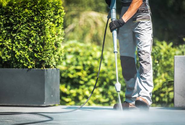 Best Patio and Deck Pressure Washing  in Greenup, IL