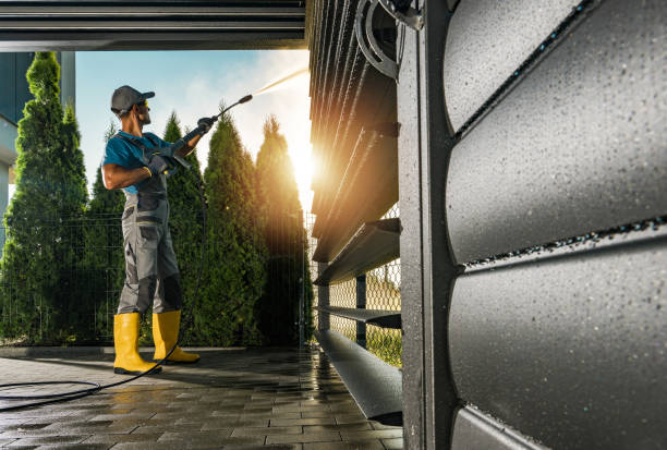 Best Soft Washing  in Greenup, IL